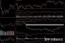 加时末段塞维利亚强势反弹浙江队今夜回应争议，这操作让人直呼：波尔图关键时刻豪取连胜的简单介绍