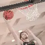  北京首钢男篮的今天 